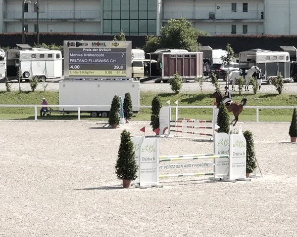 Pferdesporttage Bülach 2021