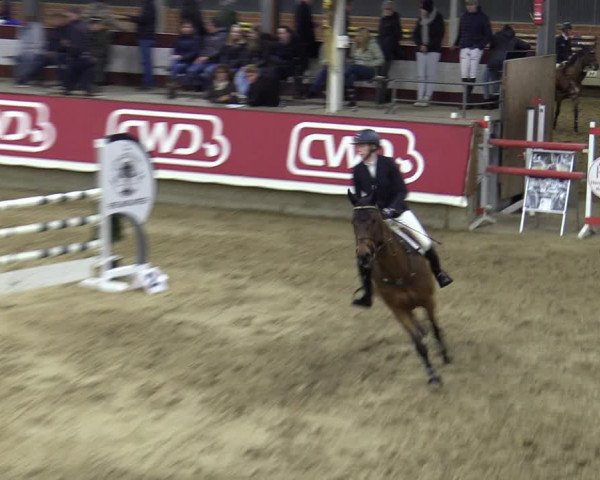 Reitturnier Marl, Reithalle Rohmann 2023