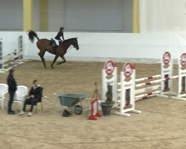 Springturnier Stadl Paura 2023