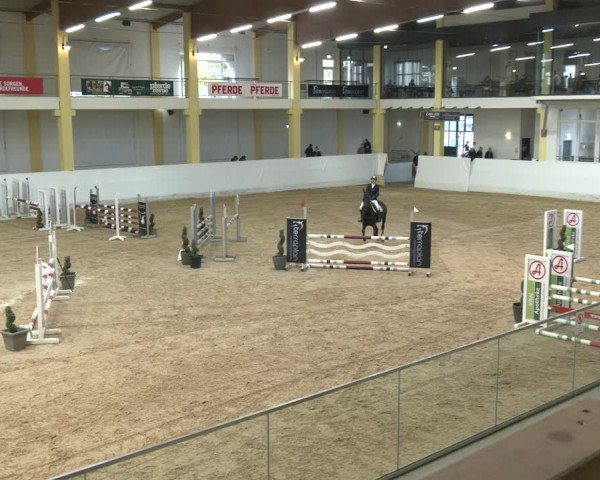Springturnier Stadl Paura 2023