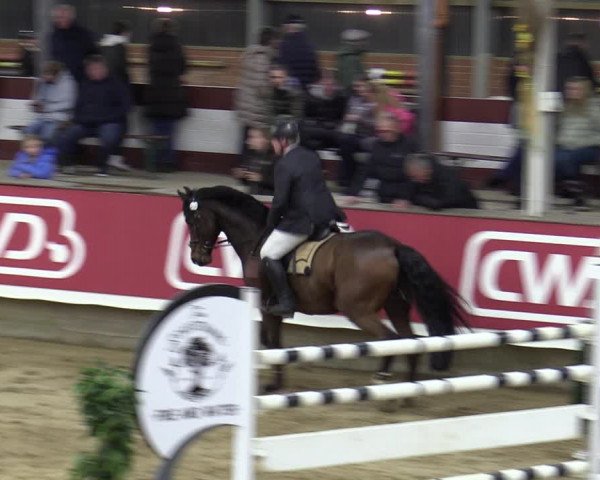Reitturnier Marl, Reithalle Rohmann 2023