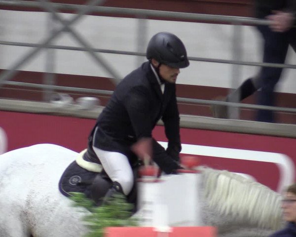 Reitturnier Marl, Reithalle Rohmann 2023