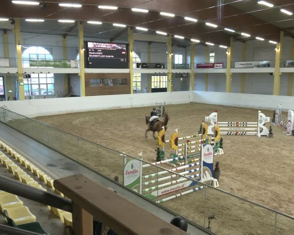 Springturnier Stadl Paura 2023