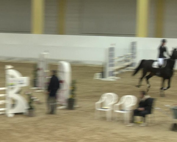 Springturnier Stadl Paura 2023