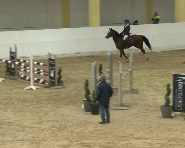 Springturnier Stadl Paura 2023