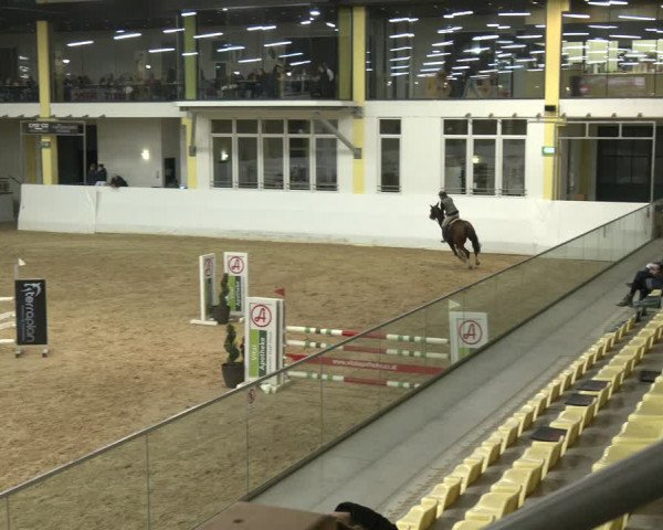 Springturnier Stadl Paura 2023