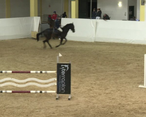 Springturnier Stadl Paura 2023