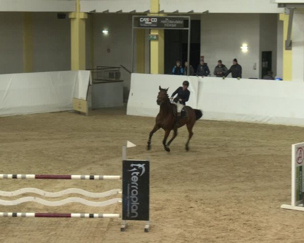 Springturnier Stadl Paura 2023