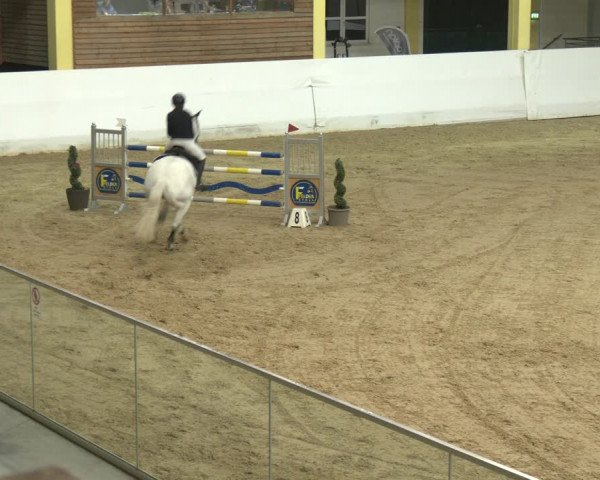 Springturnier Stadl Paura 2023