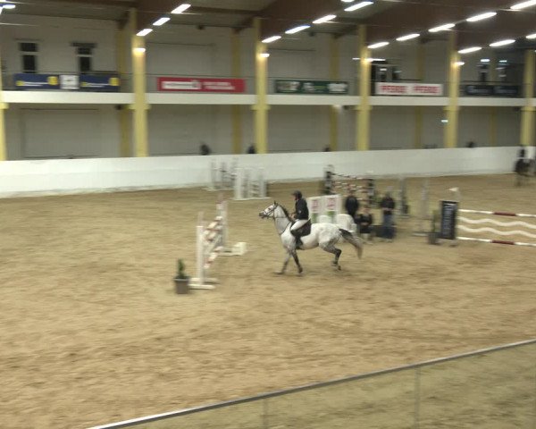 Springturnier Stadl Paura 2023