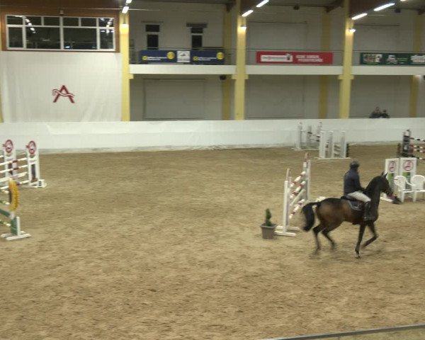 Springturnier Stadl Paura 2023