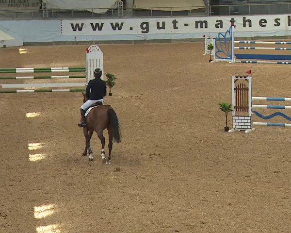 Reitturnier Kreuth 2023