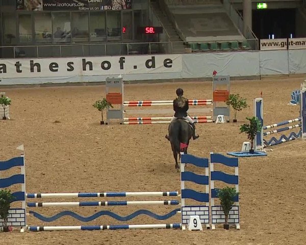 Reitturnier Kreuth 2023
