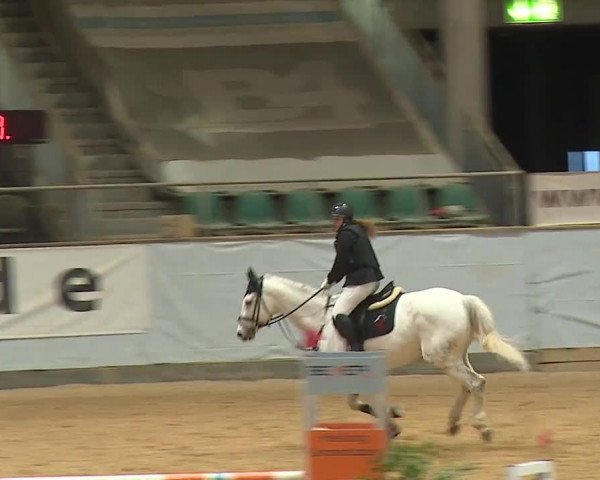 Reitturnier Kreuth 2023
