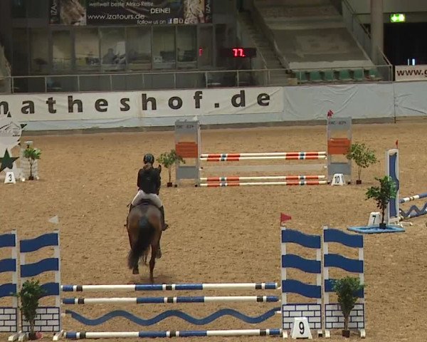 Reitturnier Kreuth 2023