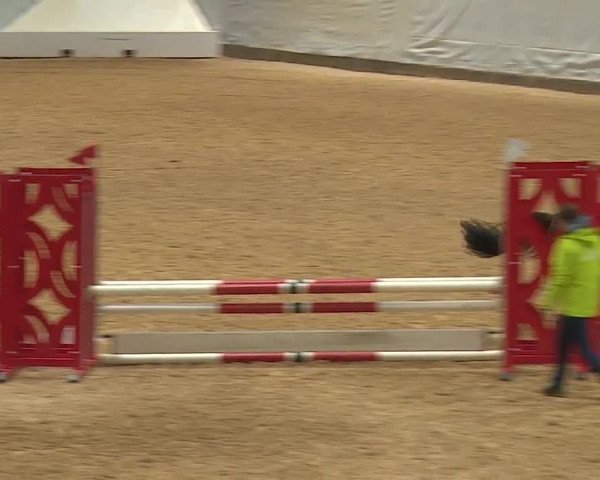 Reitturnier Kreuth 2023