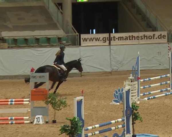 Reitturnier Kreuth 2023