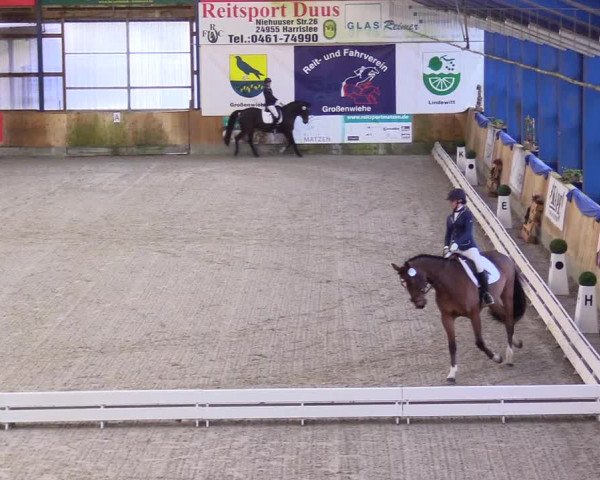 Reitturnier Großenwiehe 2023