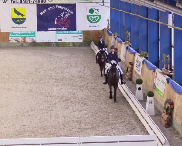 Reitturnier Großenwiehe 2023