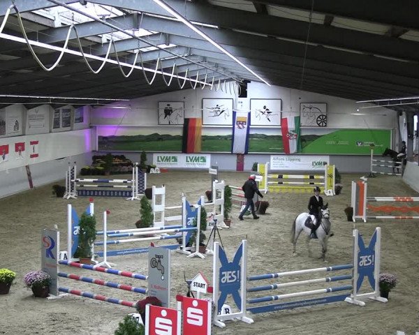 Reitturnier Legden | Ponyturnier 2023