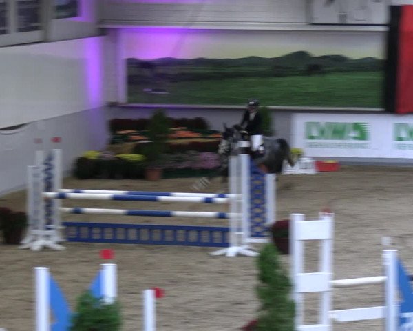 Reitturnier Legden | Ponyturnier 2023