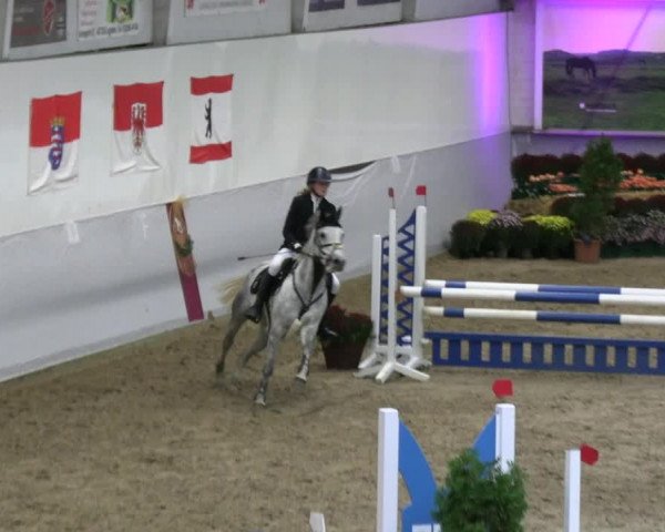 Reitturnier Legden | Ponyturnier 2023