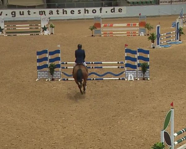Reitturnier Kreuth 2023