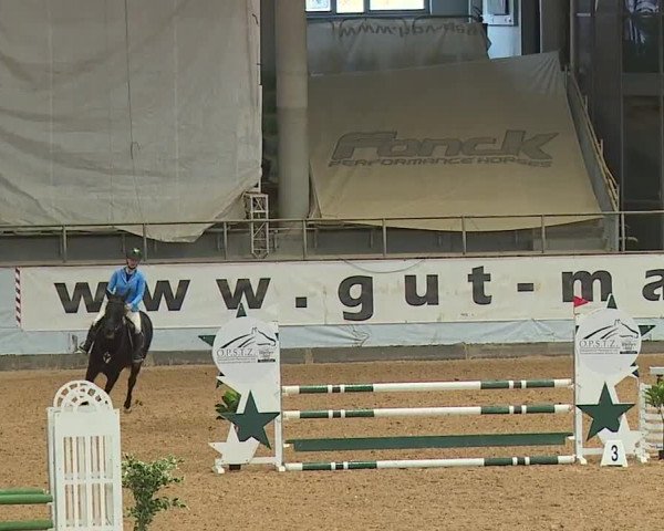 Reitturnier Kreuth 2023