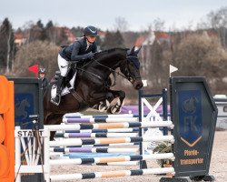 jumper Captain Morgan 47 (German Sport Horse, 2017, from Cornfire)
