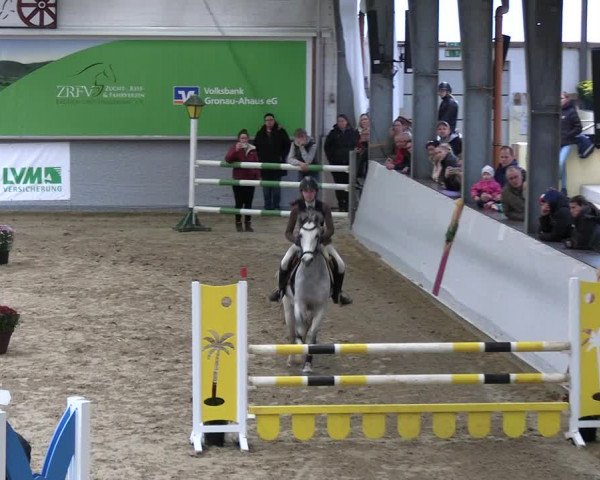 Reitturnier Legden | Ponyturnier 2023