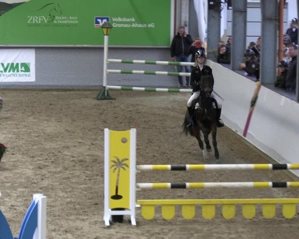 Reitturnier Legden | Ponyturnier 2023