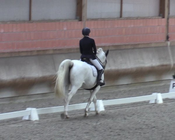Reitturnier Tremsdorf, Eichenhof 2023