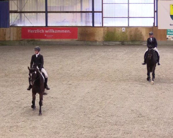 Reitturnier Großenwiehe 2023