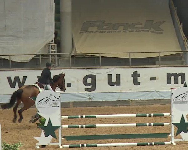 Reitturnier Kreuth 2023