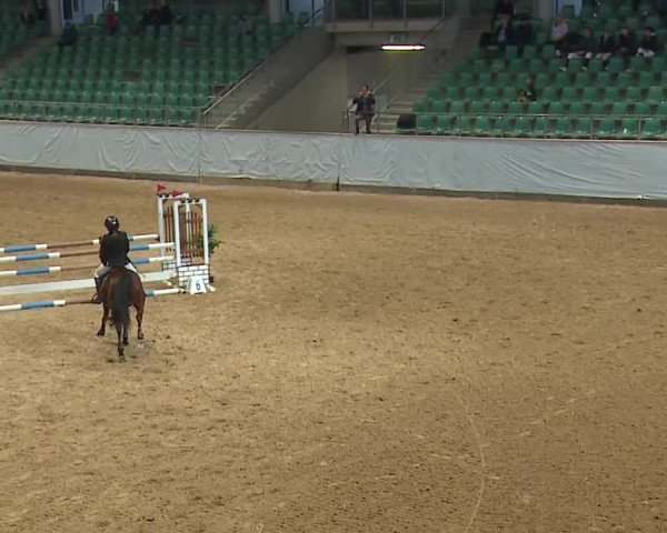 Reitturnier Kreuth 2023