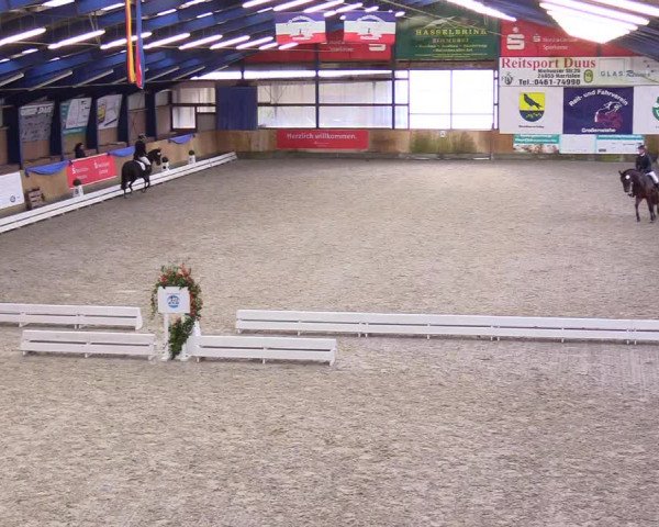 Reitturnier Großenwiehe 2023