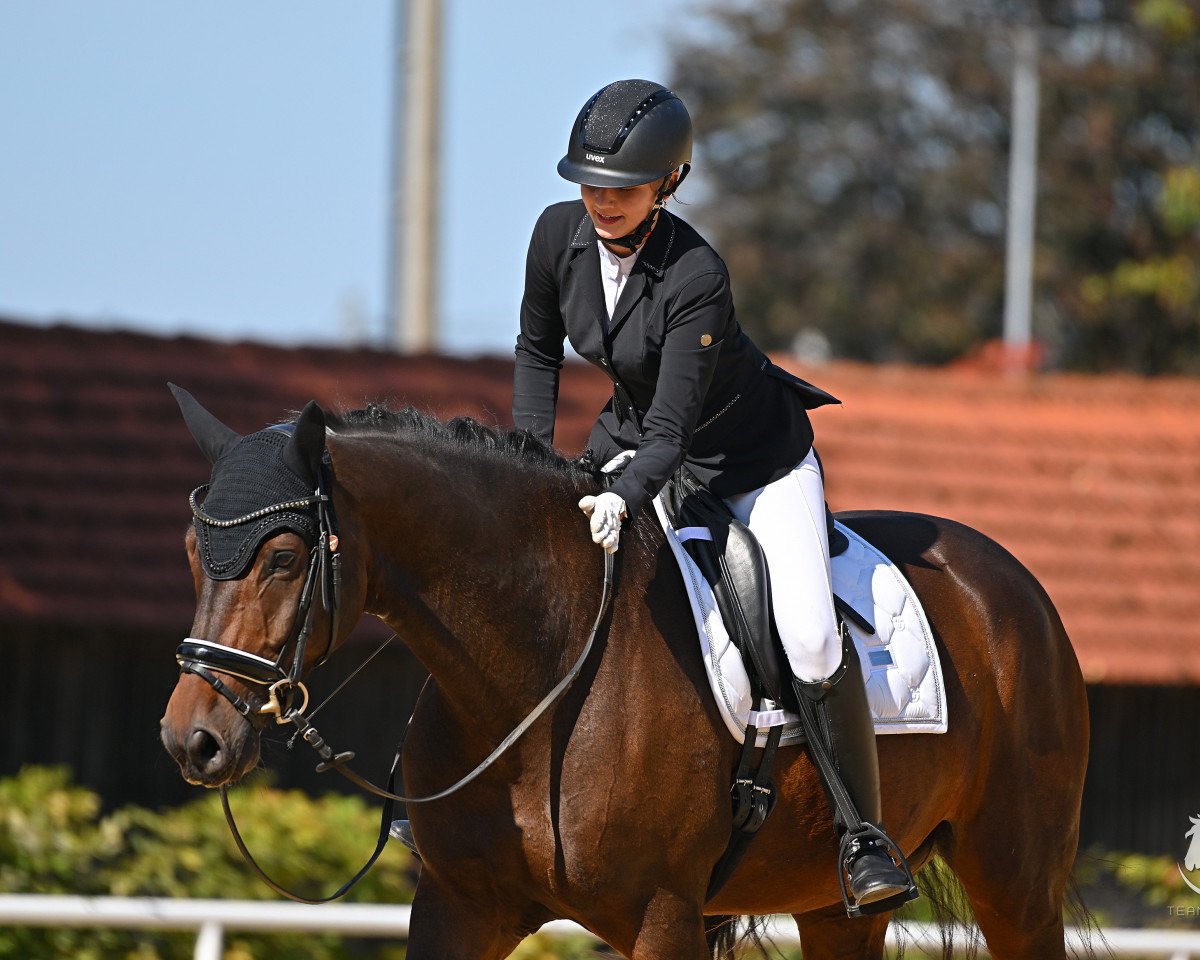 Dressurpferd Firlefanz (Deutsches Sportpferd, 2017, von Nymphenburg's First Ampere)