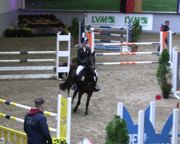 Reitturnier Legden | Ponyturnier 2023