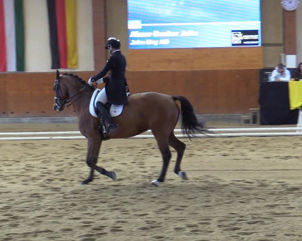 Reitturnier Weikersdorf am Steinfelde 2023
