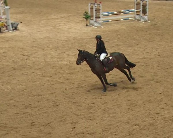 Reitturnier Kreuth 2023
