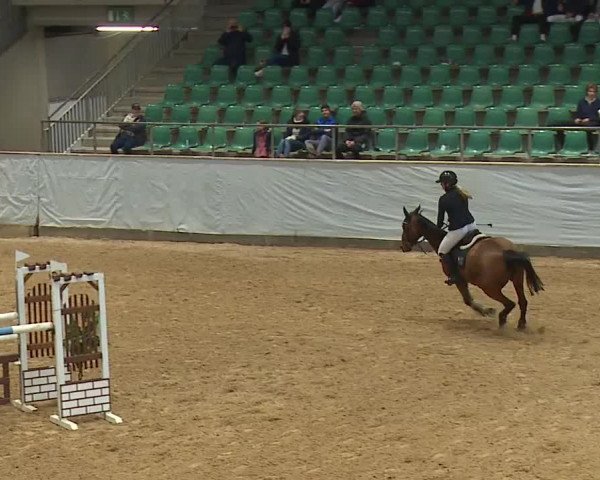Reitturnier Kreuth 2023