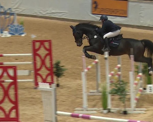 Reitturnier Kreuth 2023