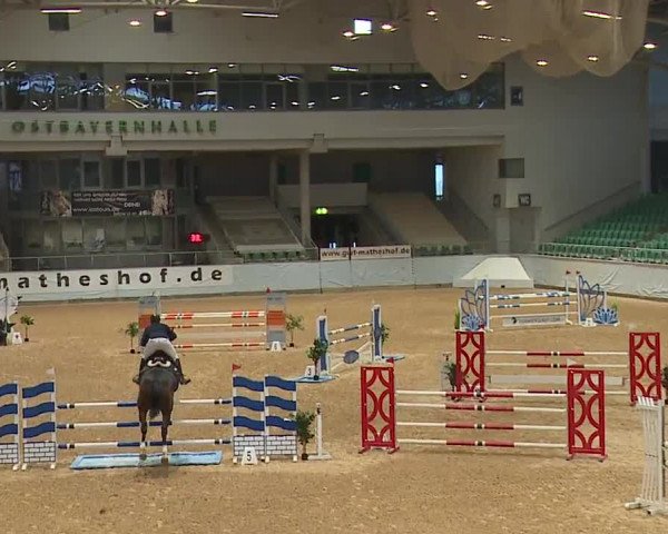 Reitturnier Kreuth 2023