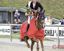 jumper Kristal (KWPN (Royal Dutch Sporthorse), 2015, from Callahan)