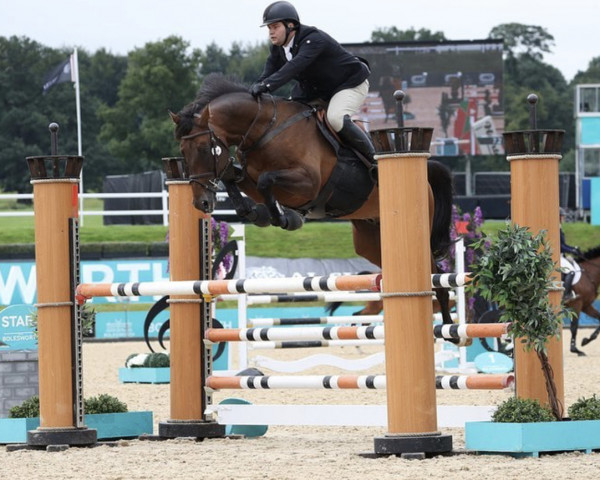 jumper Lago Maggiore VDL (KWPN (Royal Dutch Sporthorse), 2016, from Baltic VDL)