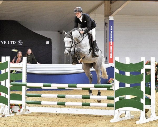 horse Uptons Magic (Hanoverian, 2017, from Diacontinus)
