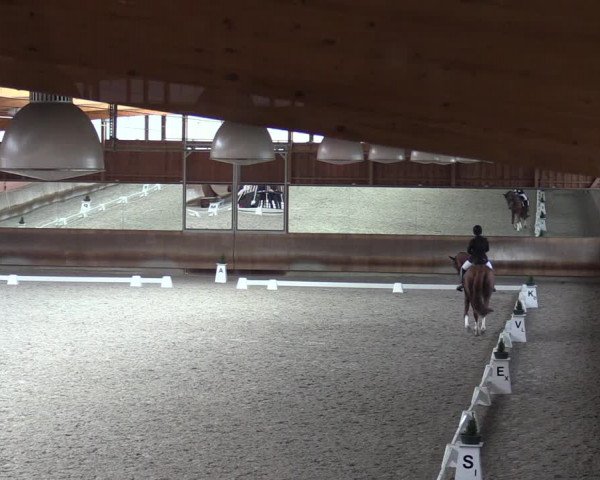 Reitturnier Tremsdorf, Eichenhof 2023