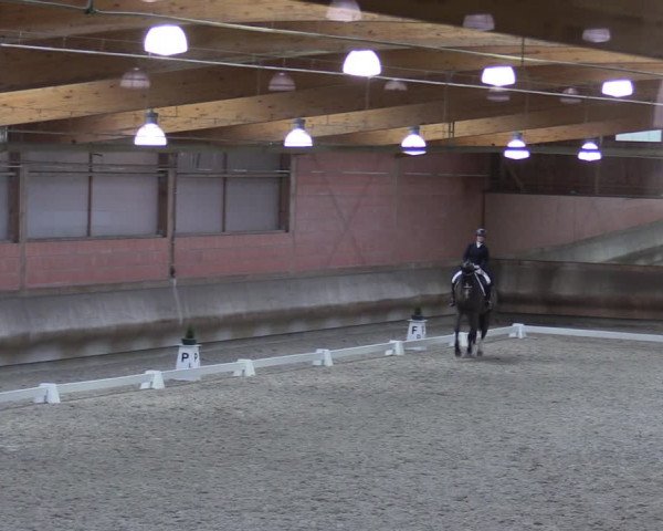 Reitturnier Tremsdorf, Eichenhof 2023