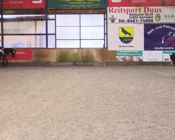 Reitturnier Großenwiehe 2023