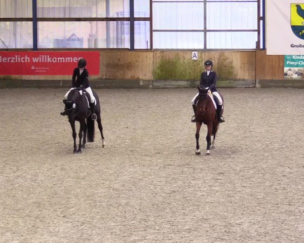 Reitturnier Großenwiehe 2023